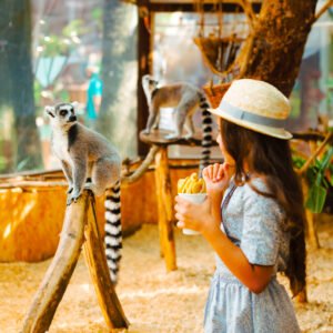Sile Zoo AE 07